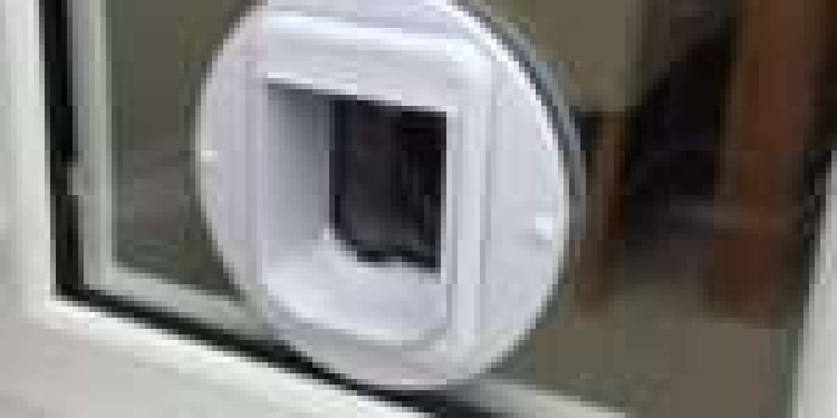 9 Things Your Parents Taught You About Economical Cat Flap Installer